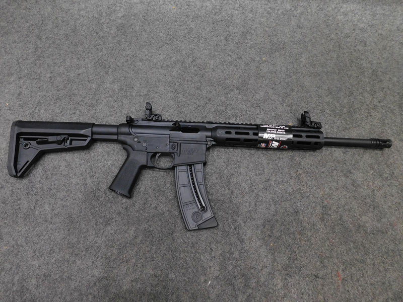 Smith & Wesson M&P 15-22 MOE